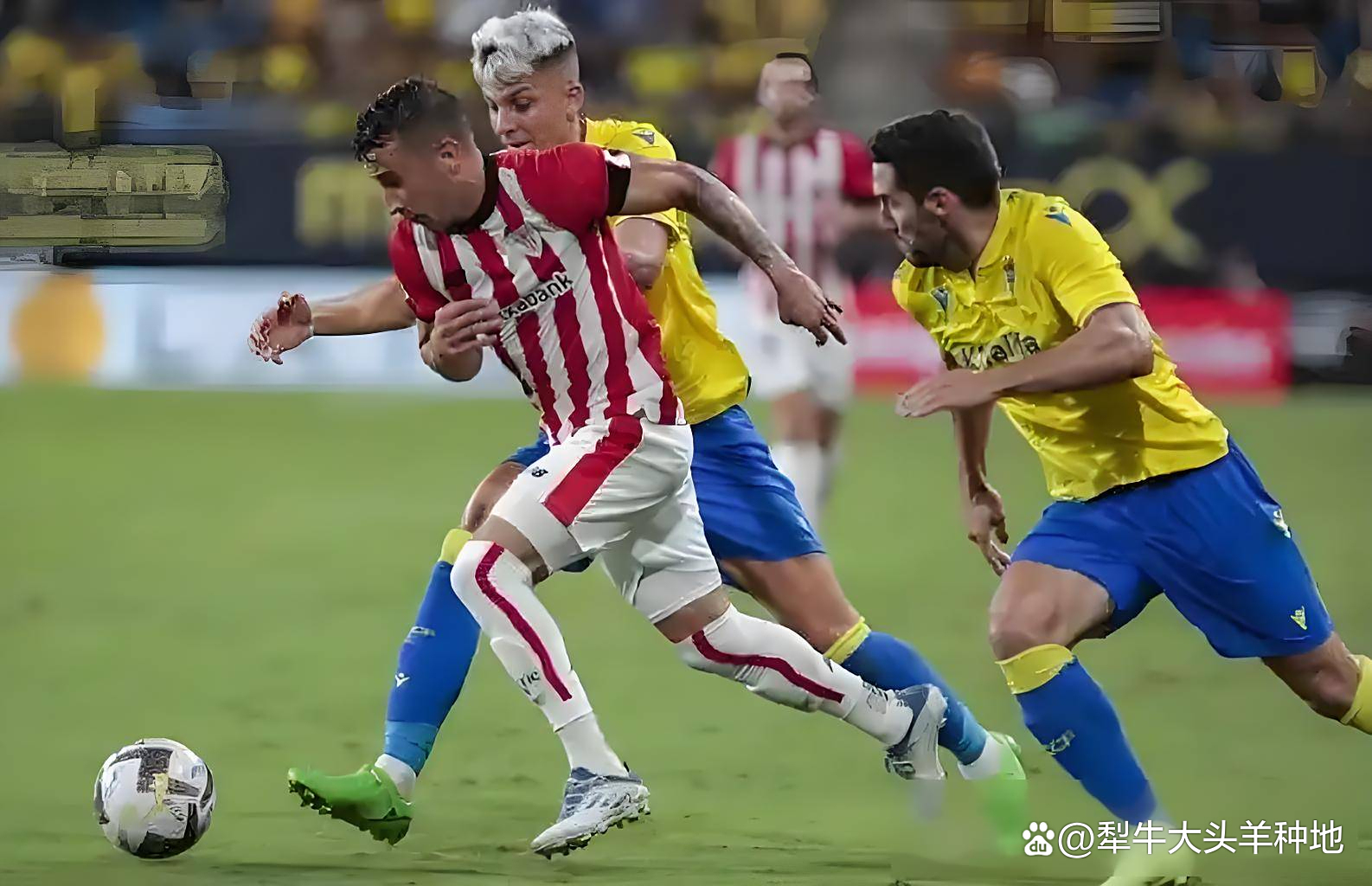 星空体育包含毕尔巴鄂竞技训练开放日，加时末段伤情更新引欢呼，CBA常规赛在即，阵容厚度经受考验的词条